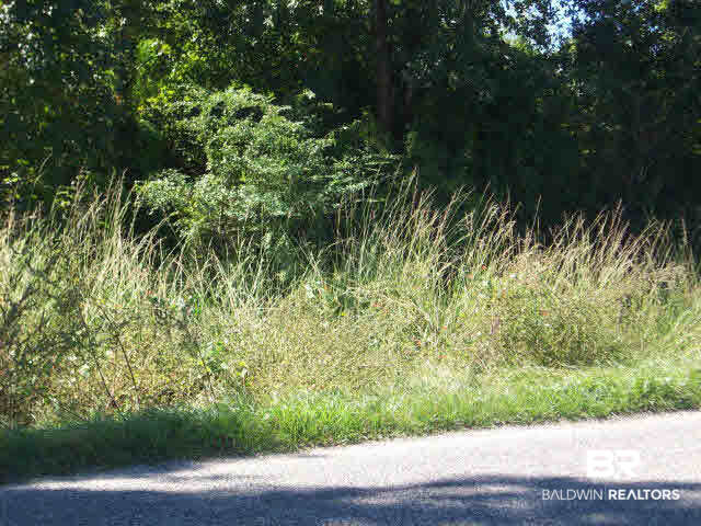 Lot 43 Woods Road Atmore, AL 36502 - Photo 2 of 8