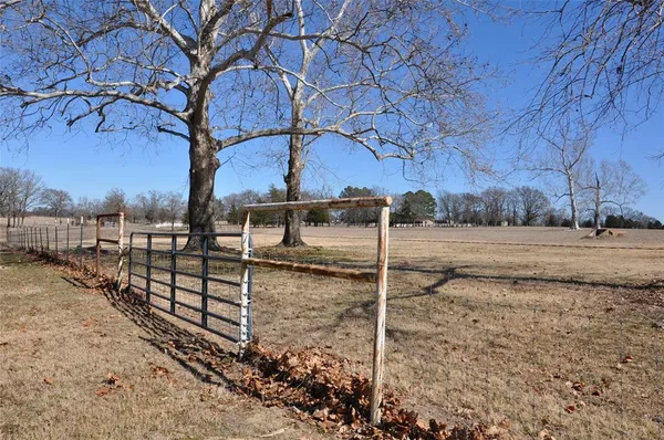 a view of a backyard of the house