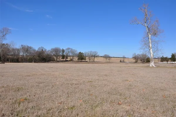 a view of a field with trees in background