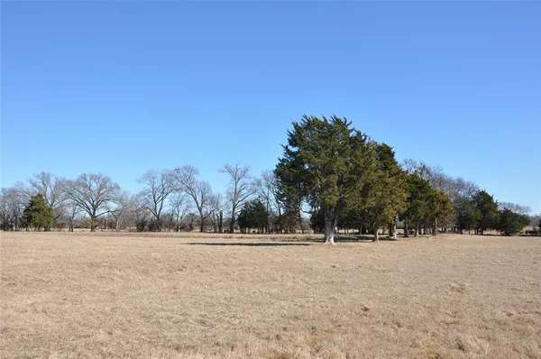 a view of outdoor space with trees in the background