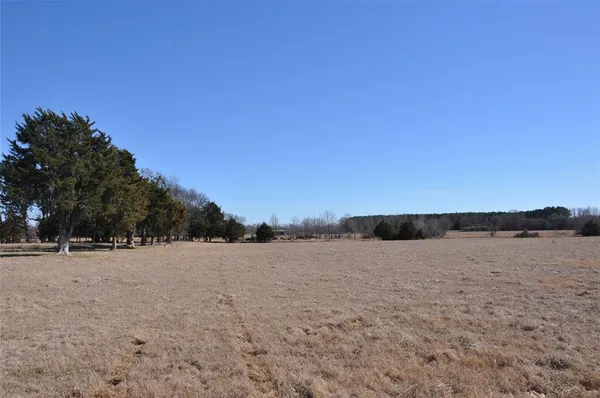 a view of ocean and trees