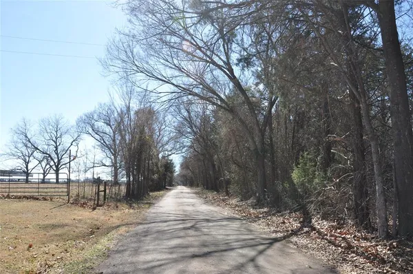 a view of dirt yard and a large tree