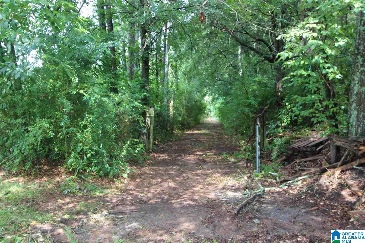 1690 Chosea Springs Road Anniston, AL 36207 - Photo 19 of 24