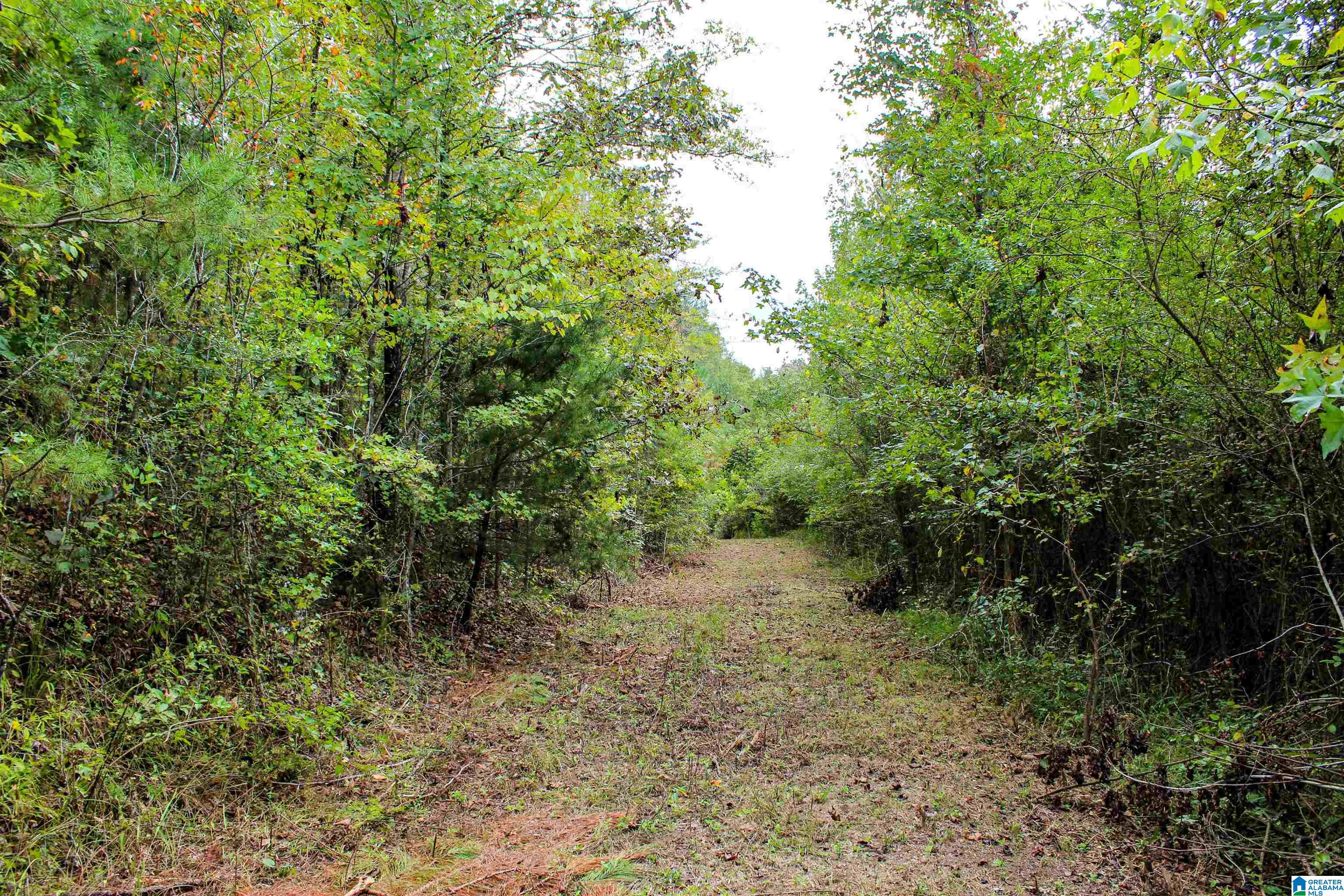 1 Highway 18, Unit 1 Oakman, AL 35579 - Photo 32 of 46