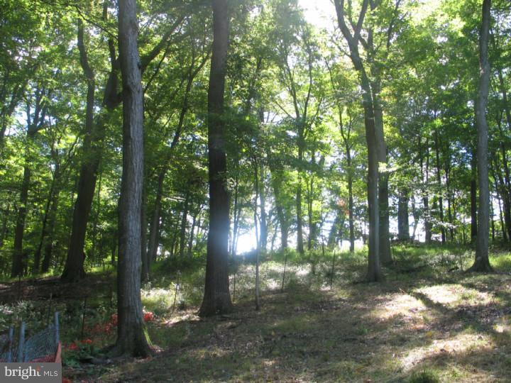 0 Paxson Road New Hope, PA 18938 - Photo 8 of 16