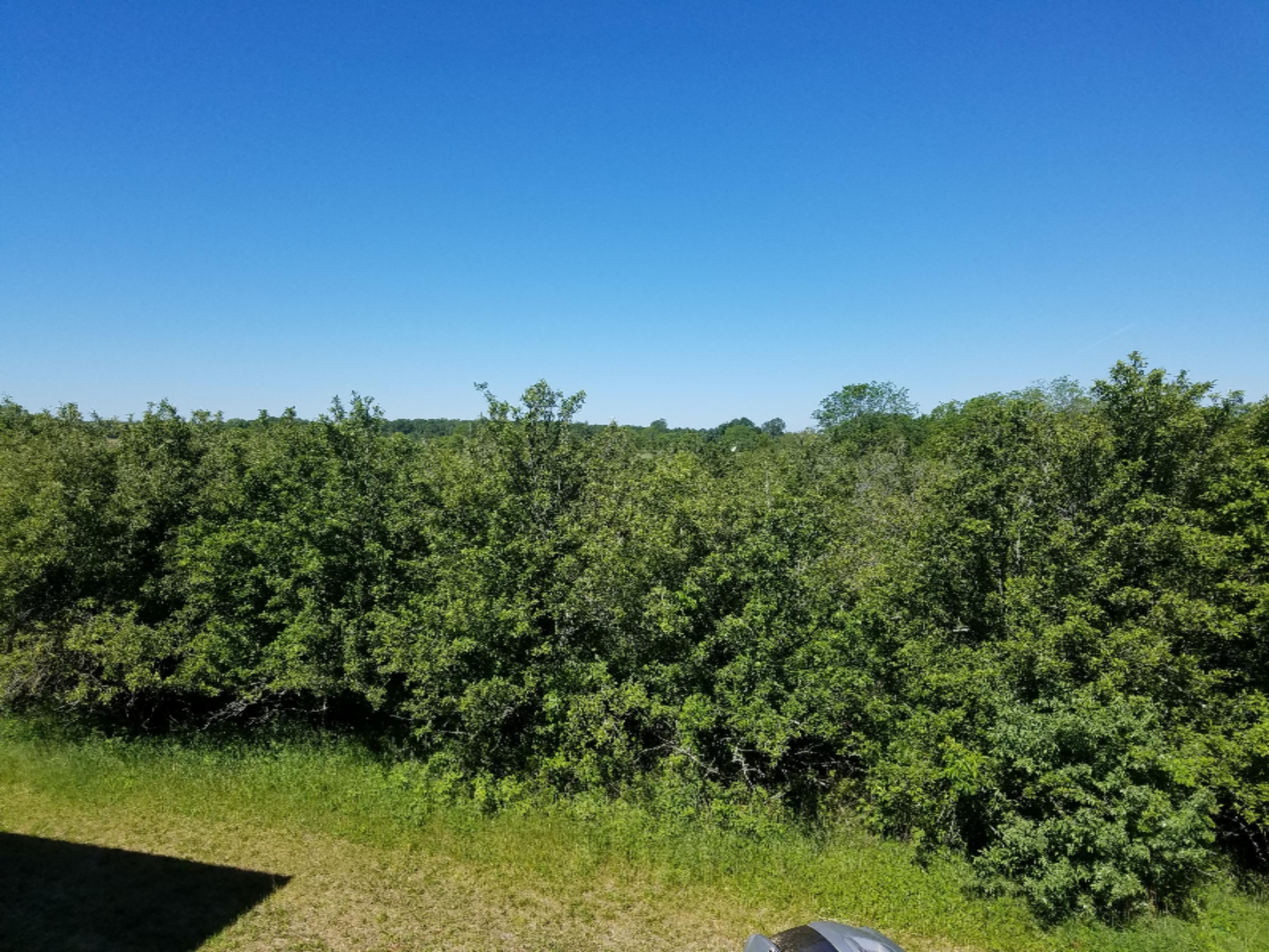 7341 Ostrum Road Belding, MI 48809 - Photo 15 of 27 2017-06-07 10.35.12