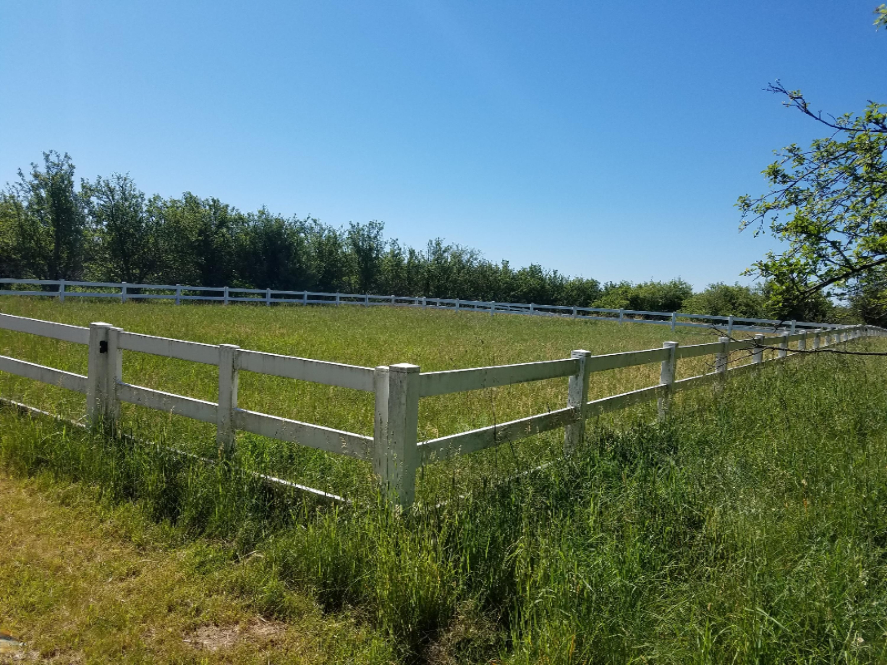 7341 Ostrum Road Belding, MI 48809 - Photo 22 of 27 2017-06-07 10.40.12