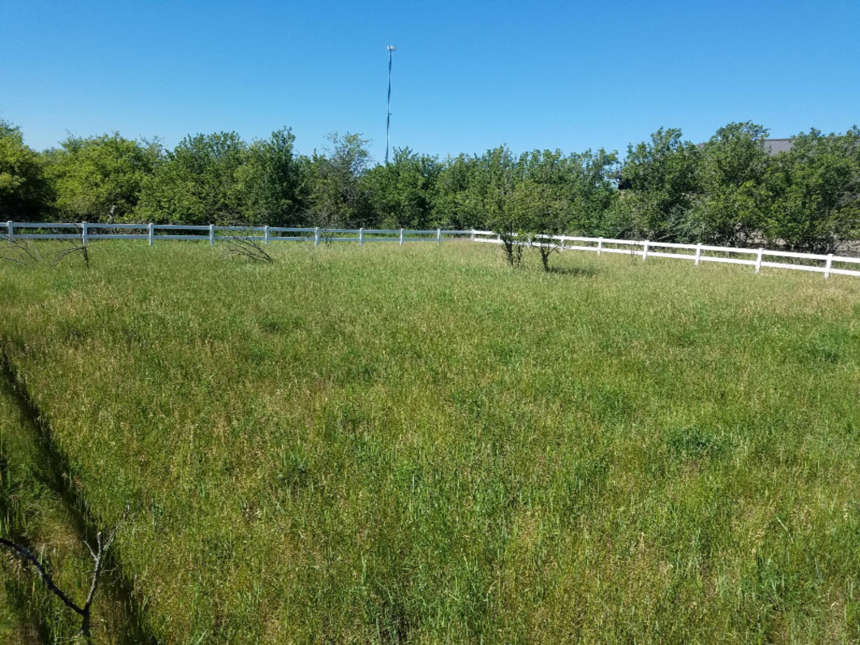 7341 Ostrum Road Belding, MI 48809 - Photo 23 of 27 2017-06-07 10.41.17