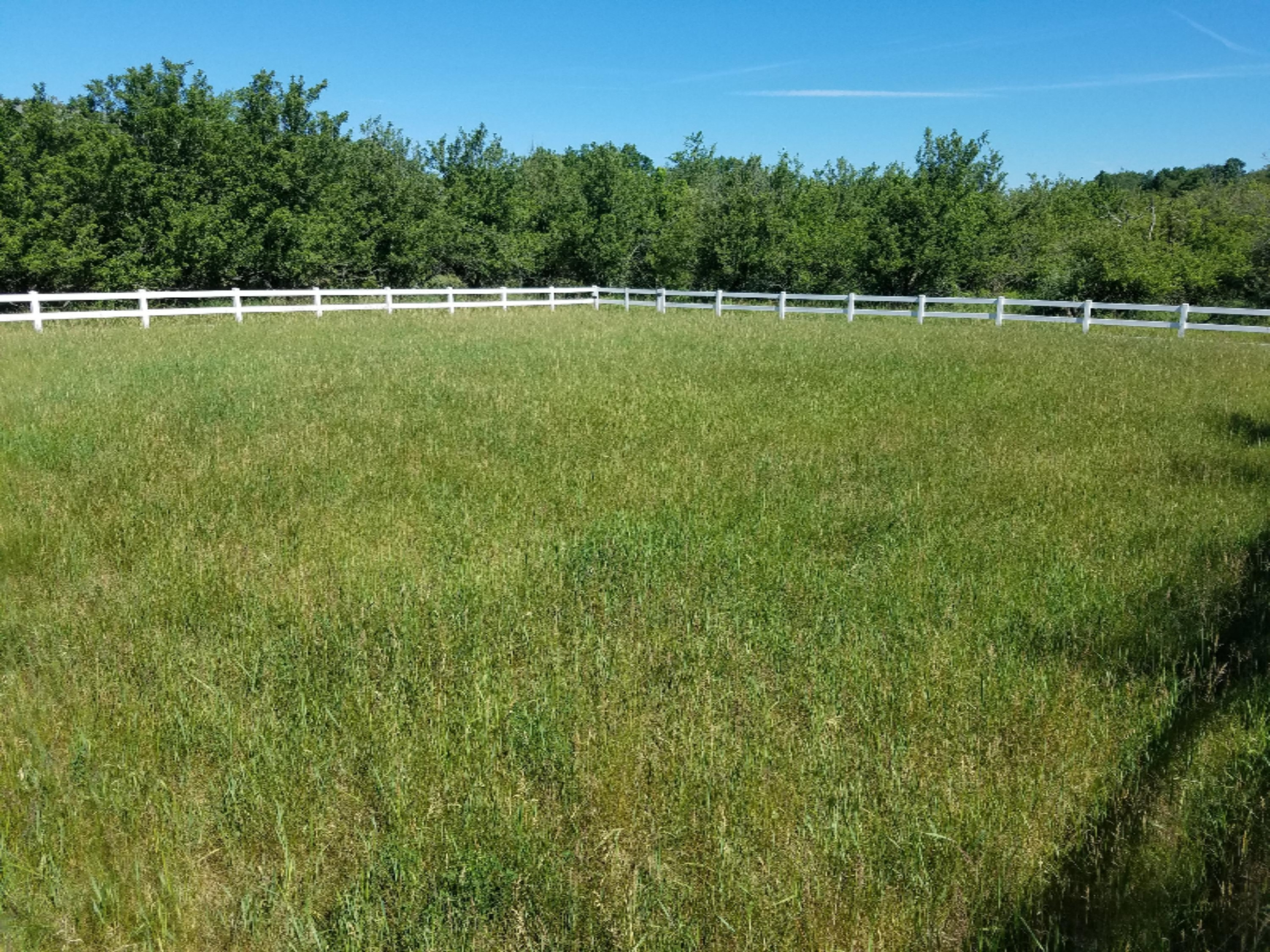 7341 Ostrum Road Belding, MI 48809 - Photo 24 of 27 2017-06-07 10.41.20