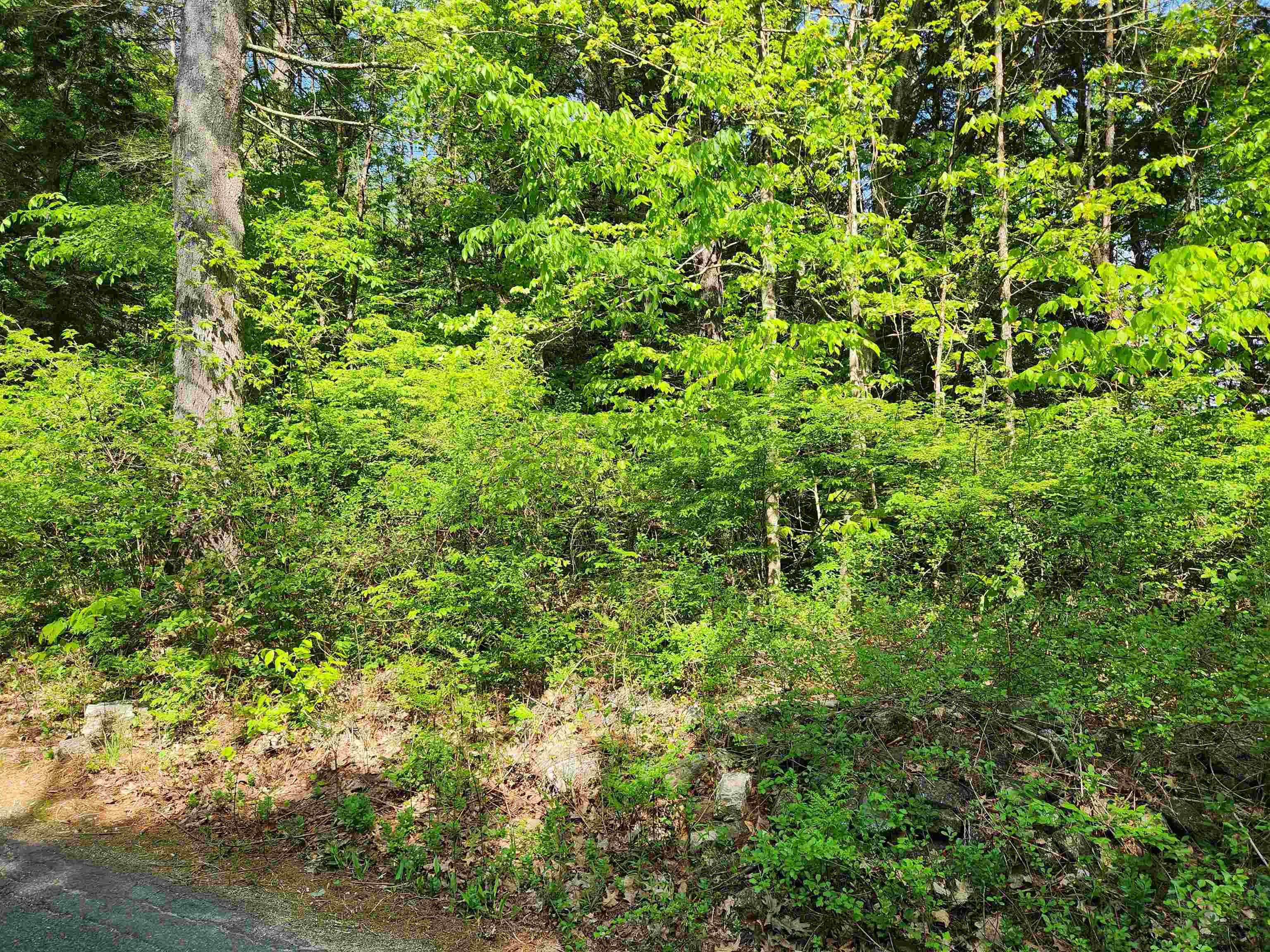 0 Cobble Hill Road Swanzey, NH 03446 - Photo 2 of 2
