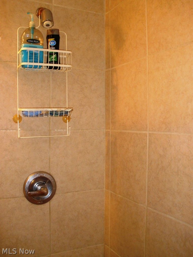 8174 Maddock Road North Ridgeville, OH 44039 - Photo 13 of 16 Ceramic tile shower
