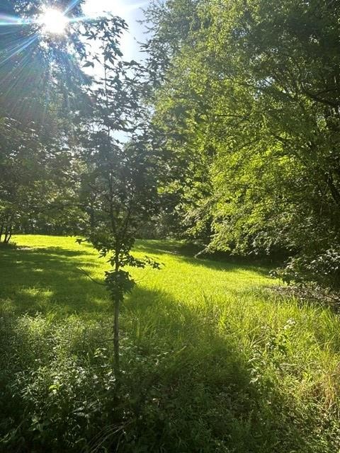 620 Eva Flatwoods Road Eva, TN 38333 - Photo 25 of 40