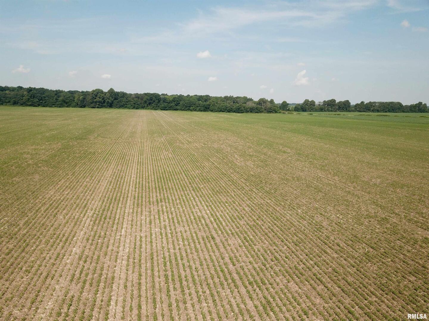 0 North Stanford Road Flora, IL 62839 - Photo 16 of 25 a view of an ocean from a balcony