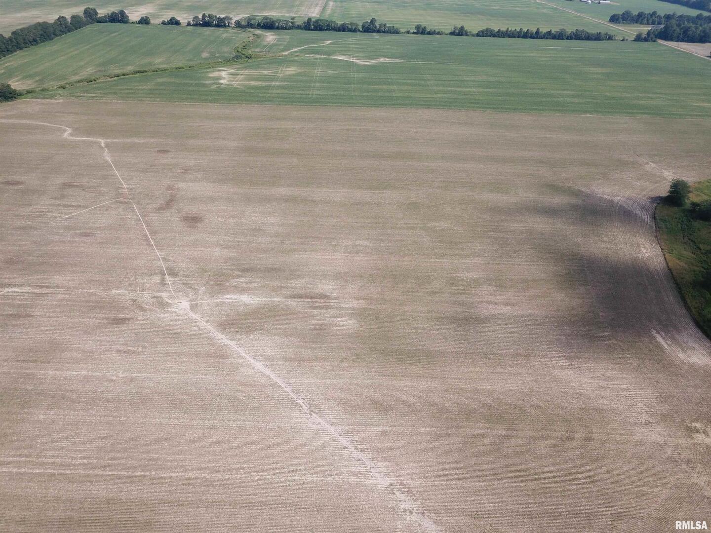 0 North Stanford Road Flora, IL 62839 - Photo 21 of 25 a view of a yard