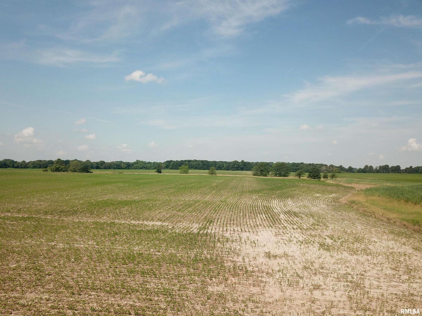 0 North Stanford Road Flora, IL 62839 - Photo 7 of 25