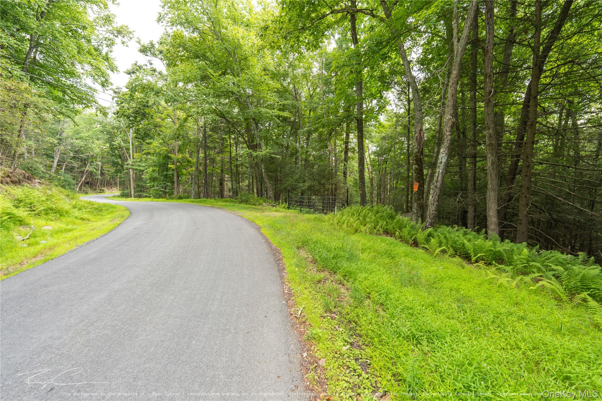 Old Plank Road Forestburgh, NY 12777 - Photo 12 of 38 Gallery Image 12
