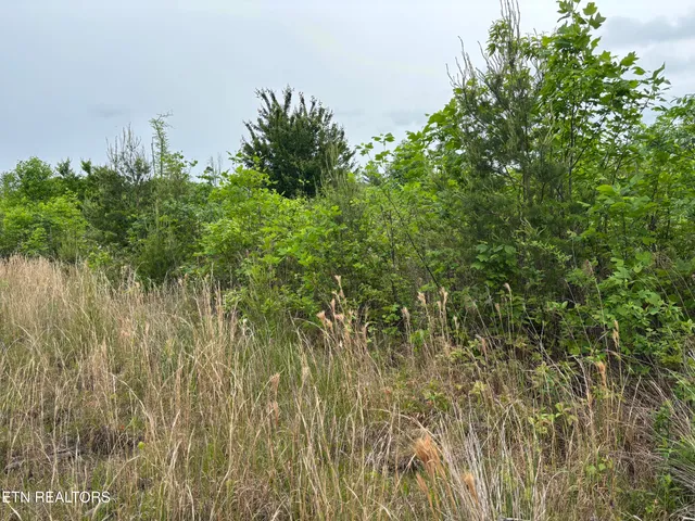 $149,000 | Scott Highway, Winfield, TN 37892