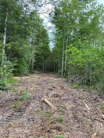 $149,000 | Scott Highway, Winfield, TN 37892