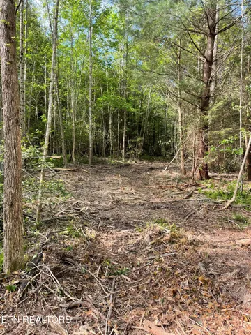 $149,000 | Scott Highway, Winfield, TN 37892