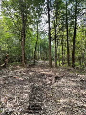 $149,000 | Scott Highway, Winfield, TN 37892