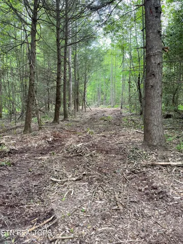 $149,000 | Scott Highway, Winfield, TN 37892