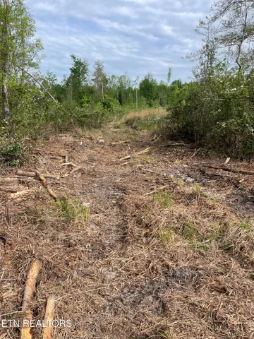 $149,000 | Scott Highway, Winfield, TN 37892