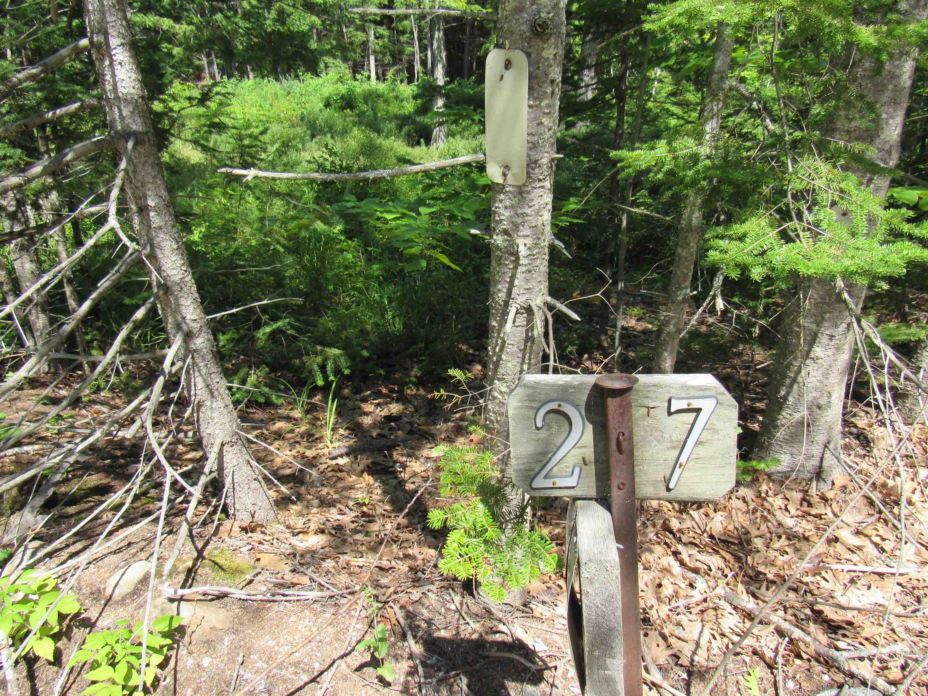 27 Shaker Jerry Road Moultonborough, NH 03254 - Photo 2 of 8 Gallery Image 2