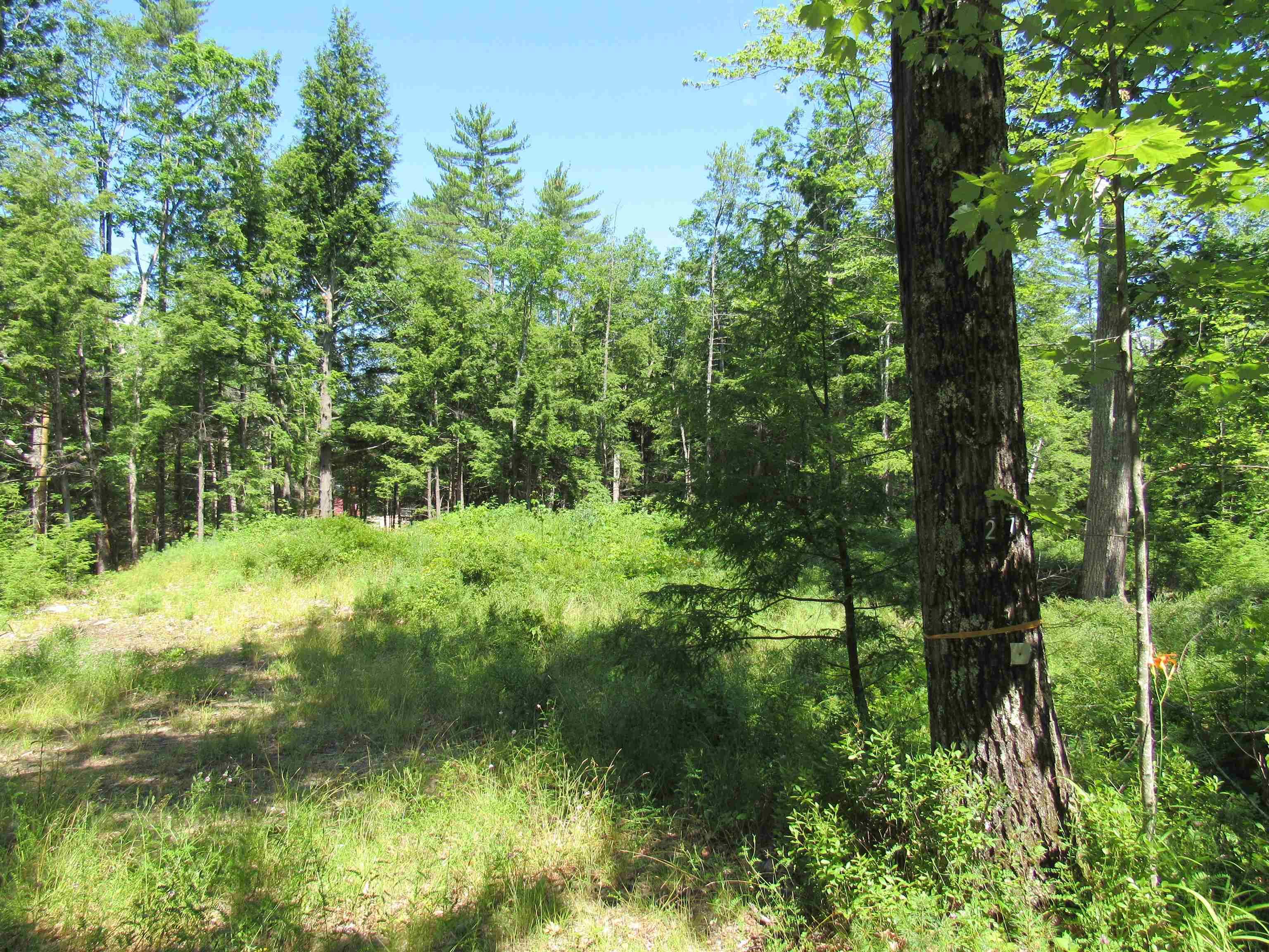 27 Shaker Jerry Road Moultonborough, NH 03254 - Photo 3 of 8 Gallery Image 3