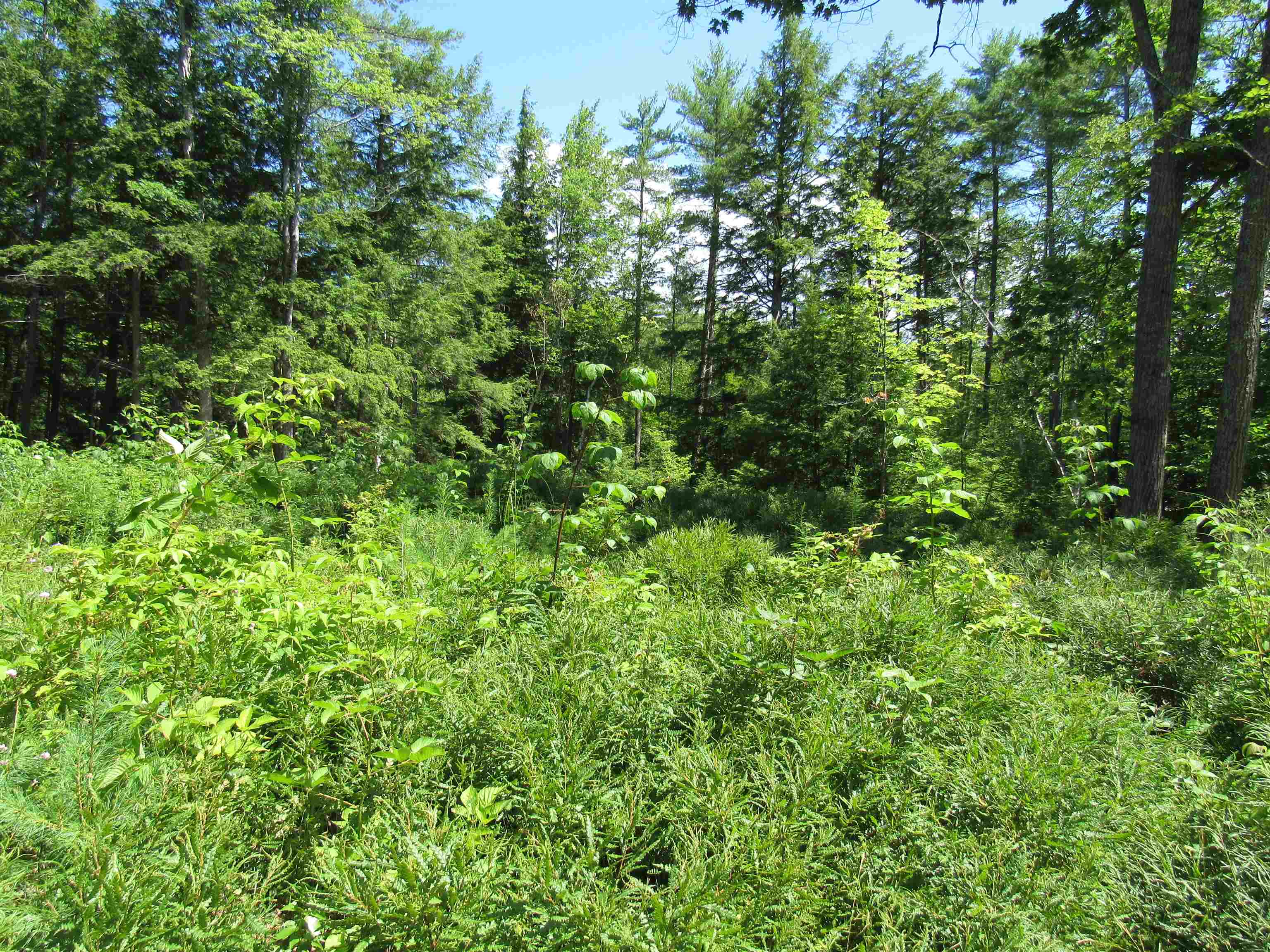27 Shaker Jerry Road Moultonborough, NH 03254 - Photo 4 of 8 Gallery Image 4