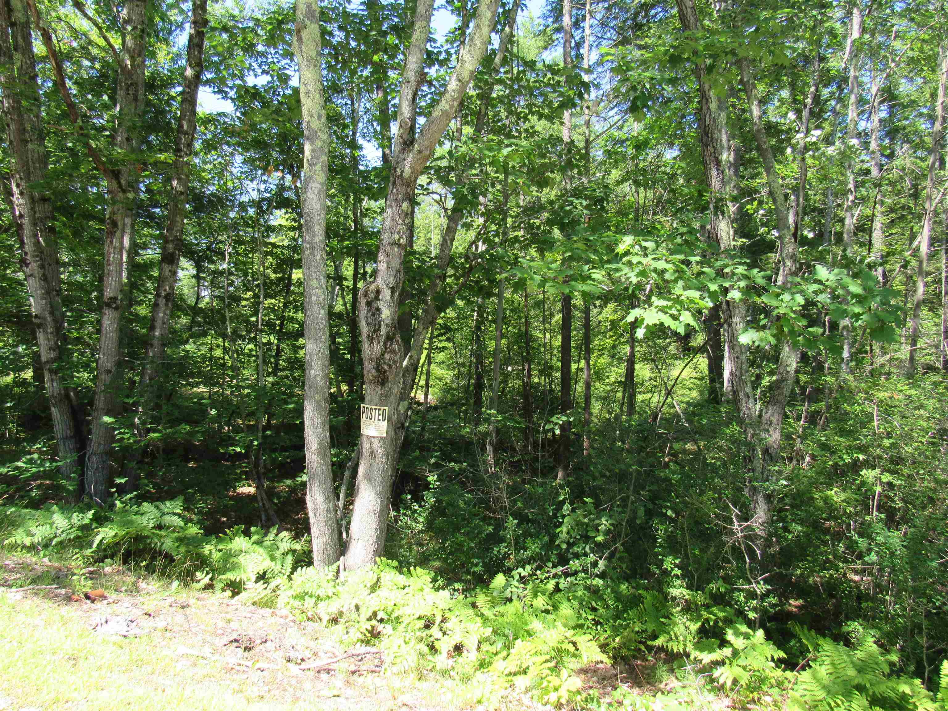 27 Shaker Jerry Road Moultonborough, NH 03254 - Photo 5 of 8 Gallery Image 5