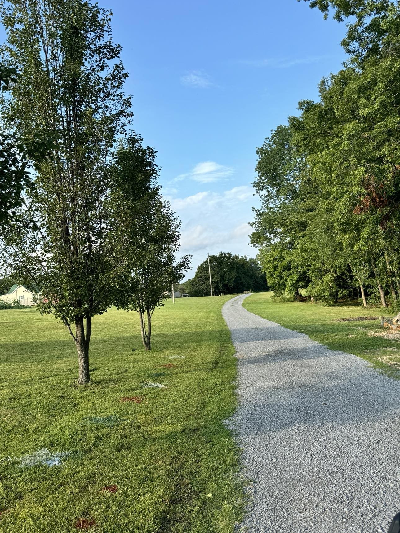 239 Calvert Ridge Road Westmoreland, TN 37186 - Photo 3 of 27 a view of yard with tree s