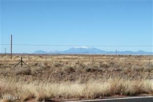 4287 State Route 99 Leuppx, AZ 86035 - Photo 4 of 5 a view of a yard