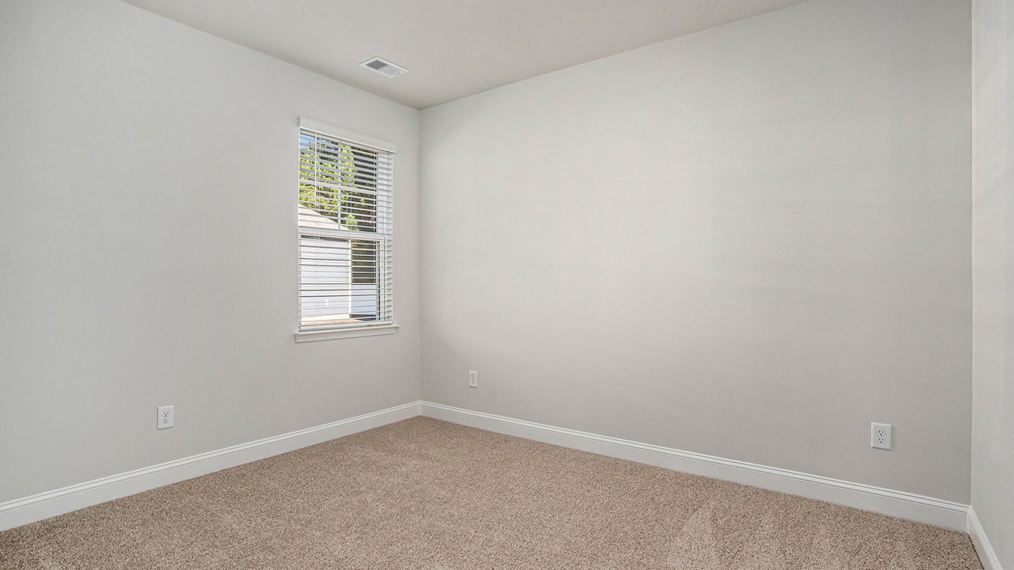 259 Hadley Spgs Avenue Longs, SC 29568 - Photo 18 of 25