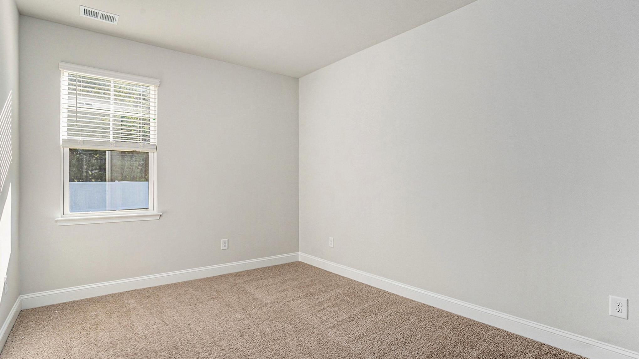 259 Hadley Spgs Avenue Longs, SC 29568 - Photo 19 of 25