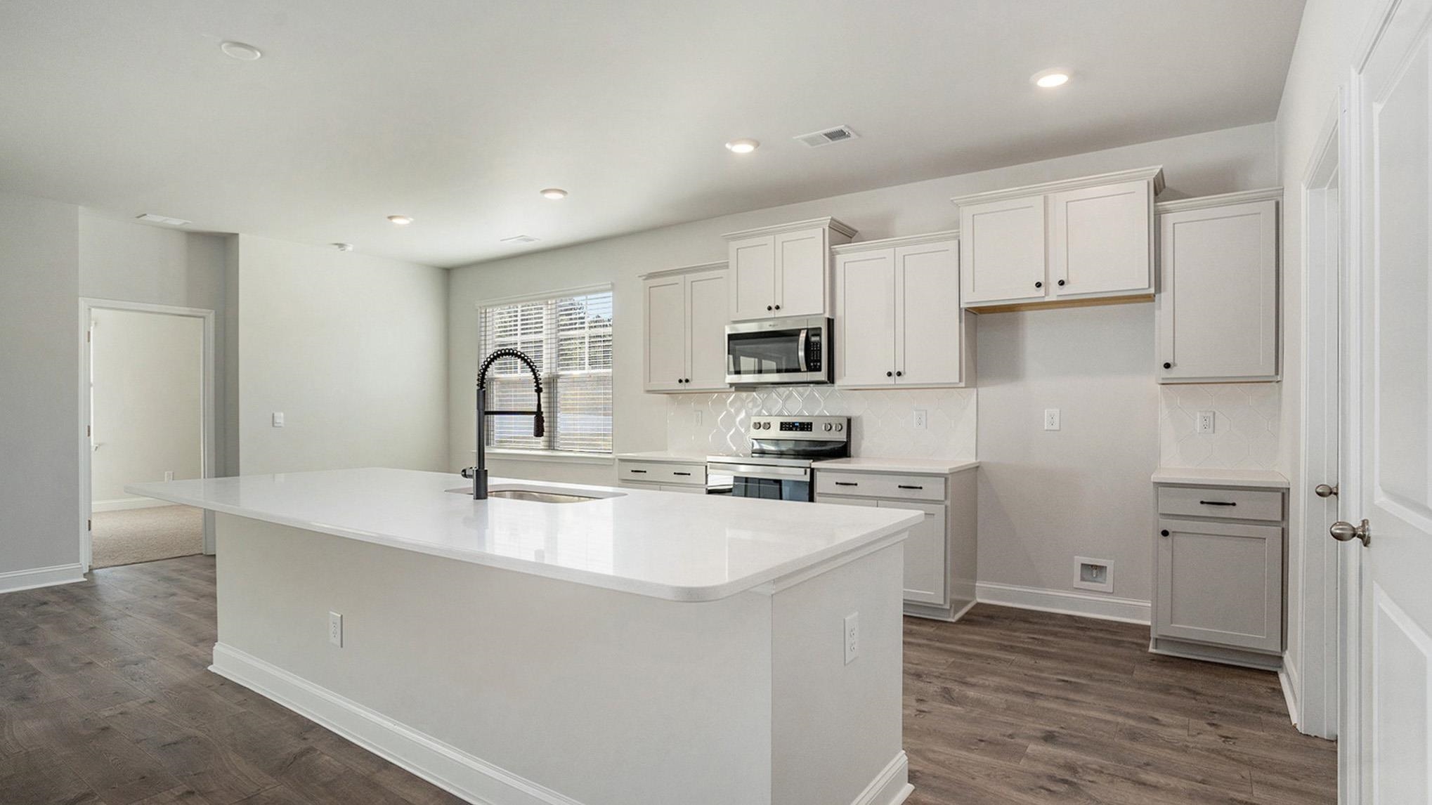 259 Hadley Spgs Avenue Longs, SC 29568 - Photo 10 of 25