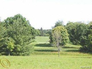4855 Pardee Road Webberville, MI 48892 - Photo 5 of 5 Golf Course View