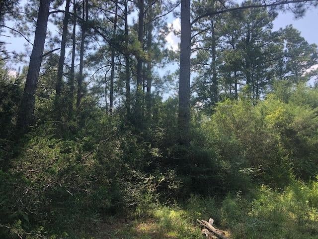 27410 Ealum Mill Road Red Level, AL 36474 - Photo 34 of 50 Gallery Image 34