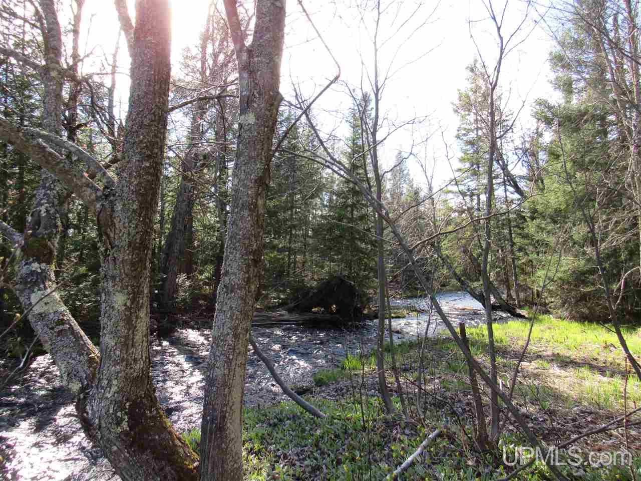 M28 (west) Lanse, MI 49946 - Photo 2 of 30