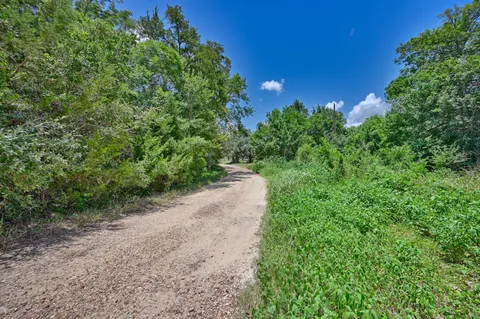 a view of a field with trees in background