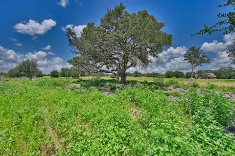a view of a lush green space