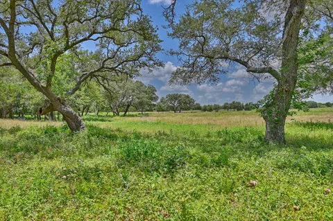 a view of a golf course with a lake