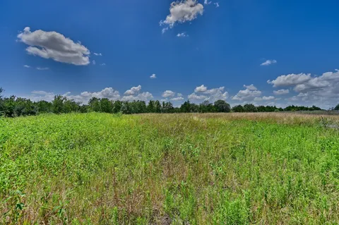 a yard with lots of green space
