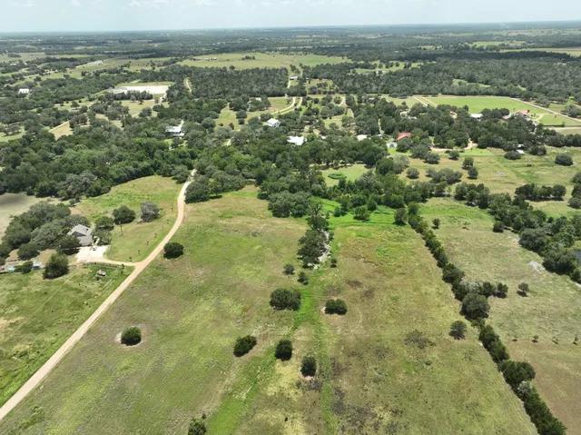 an aerial view of a forest