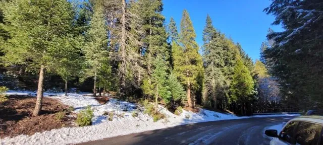 $105,000 | 0 Audubon Road, Mount Shasta, CA 96067