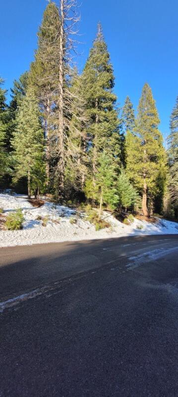 0 Audubon Road Mount Shasta, CA 96067 - Photo 12 of 13 a view of ocean view with beach