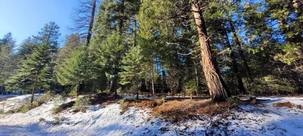 $105,000 | 0 Audubon Road, Mount Shasta, CA 96067