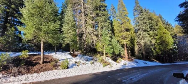 $105,000 | 0 Audubon Road, Mount Shasta, CA 96067