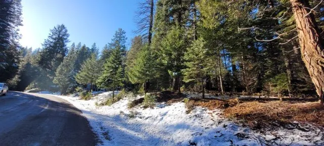 $105,000 | 0 Audubon Road, Mount Shasta, CA 96067