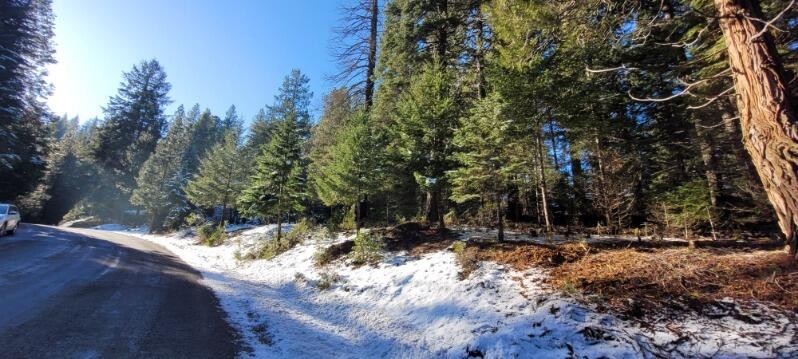 0 Audubon Road Mount Shasta, CA 96067 - Photo 5 of 13 a view of outdoor space with trees