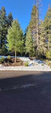 $105,000 | 0 Audubon Road, Mount Shasta, CA 96067